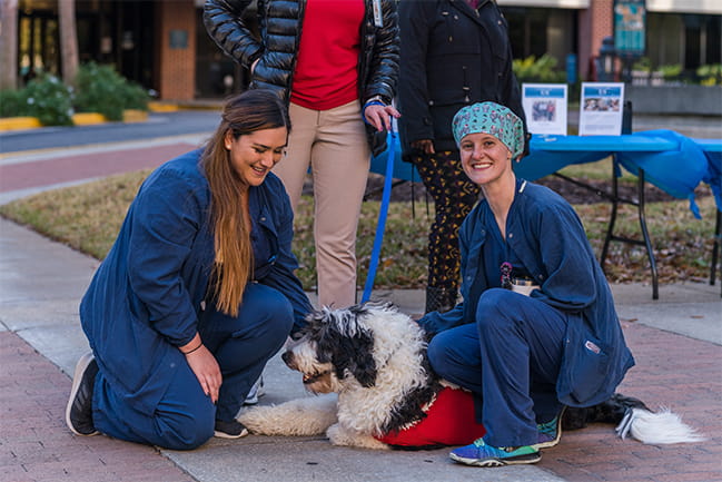 Nurses pet a therapy dog on #GivingTuesday