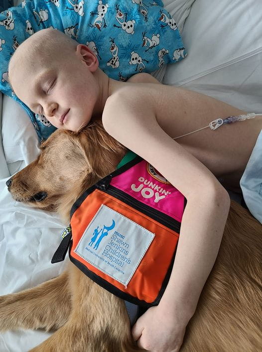 Visits from Agnes, a specially trained hospital dog donated by the Dunkin’ Joy in Childhood Foundation, were one of the few things that brought Joseph joy when he was in the hospital.