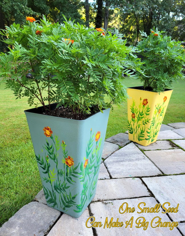 Two hand-decorate flower pots hold large, healthy marigold plants. A text overlay reads, "One small seed can make a big change."