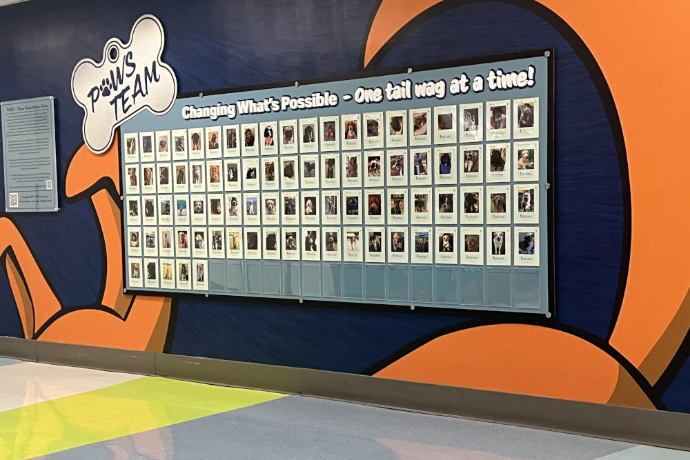 A display wall shows photos of more than 80 certified therapy dogs that volunteer at MUSC.